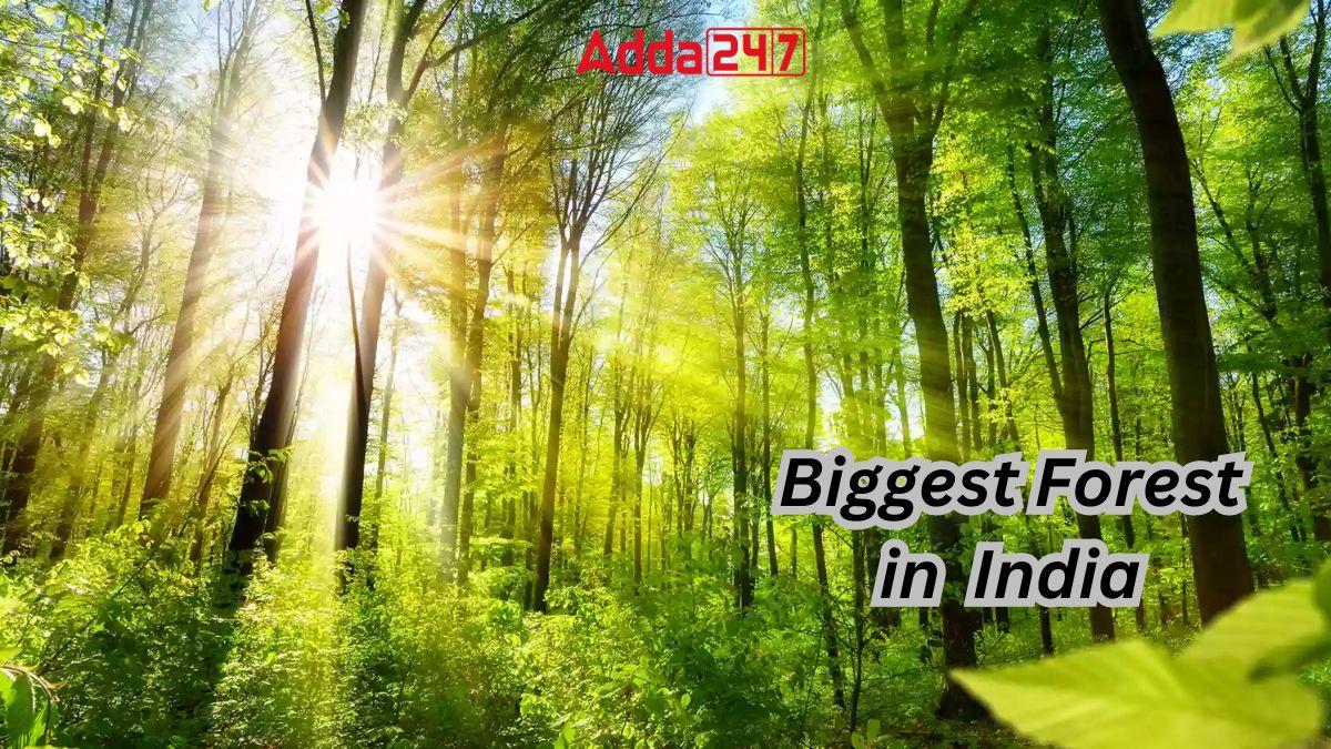 Biggest Forest in India, List of Top-10_30.1