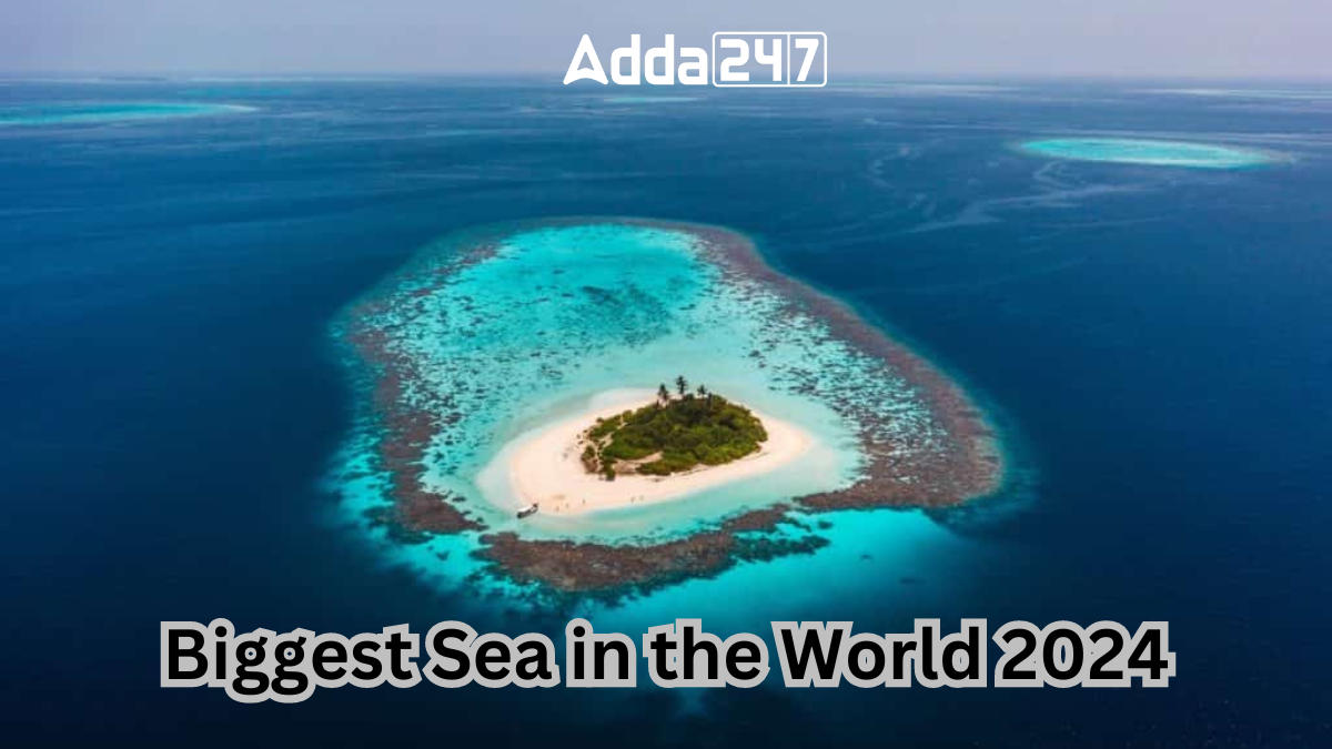 Biggest Sea in the World, List of Top-10_30.1