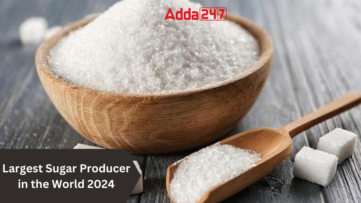 Largest Sugar Producer in the World 2024, List of Top-10_30.1