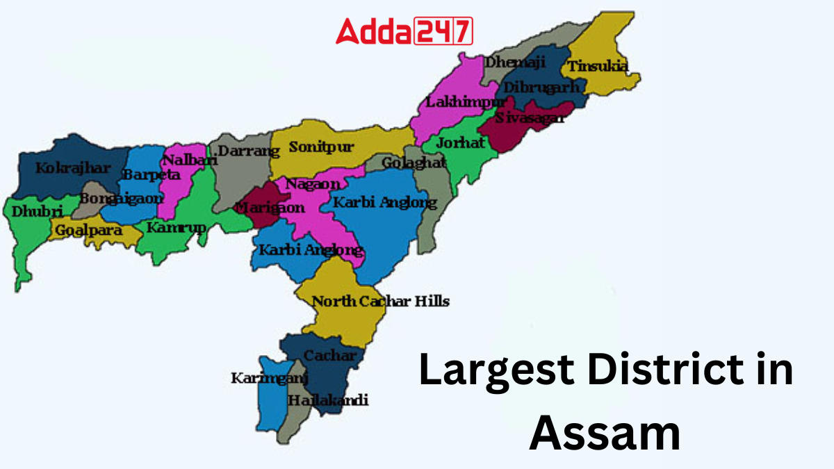 Largest District In Assam, List Of Districts Of Assam