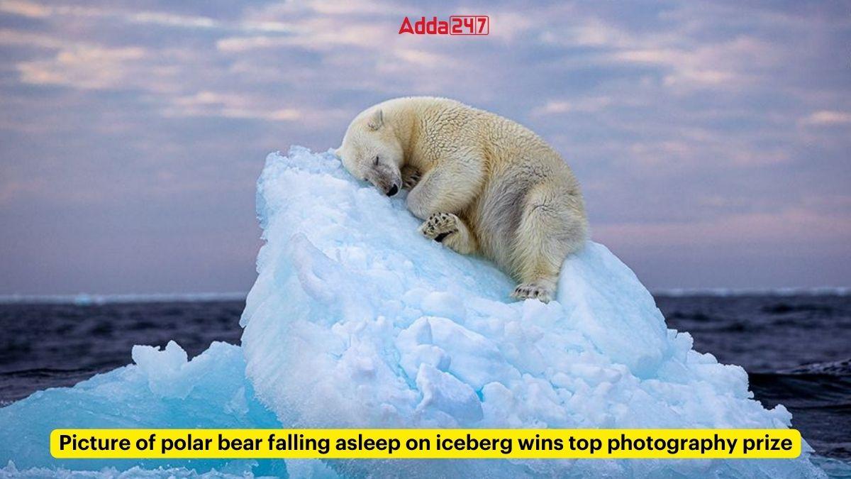 Picture of polar bear falling asleep on iceberg wins top photography prize_30.1