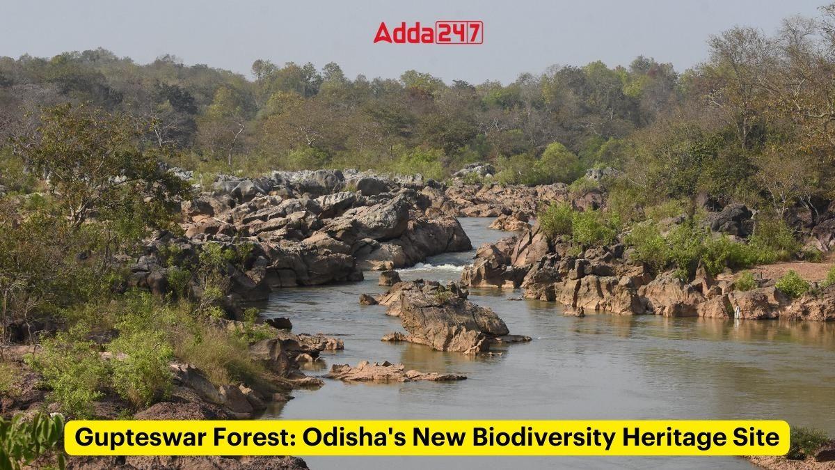 Gupteswar Forest, Odisha's New Biodiversity Heritage Site_30.1