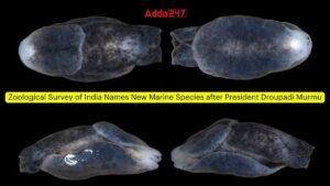 Zoological Survey of India Names New Marine Species after President Droupadi Murmu