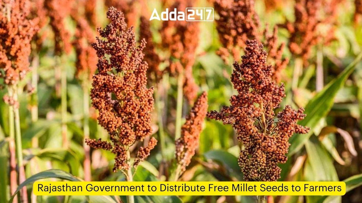 Rajasthan Government to Distribute Free Millet Seeds to Farmers