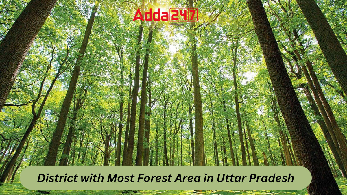District with Most Forest Area in Uttar Pradesh