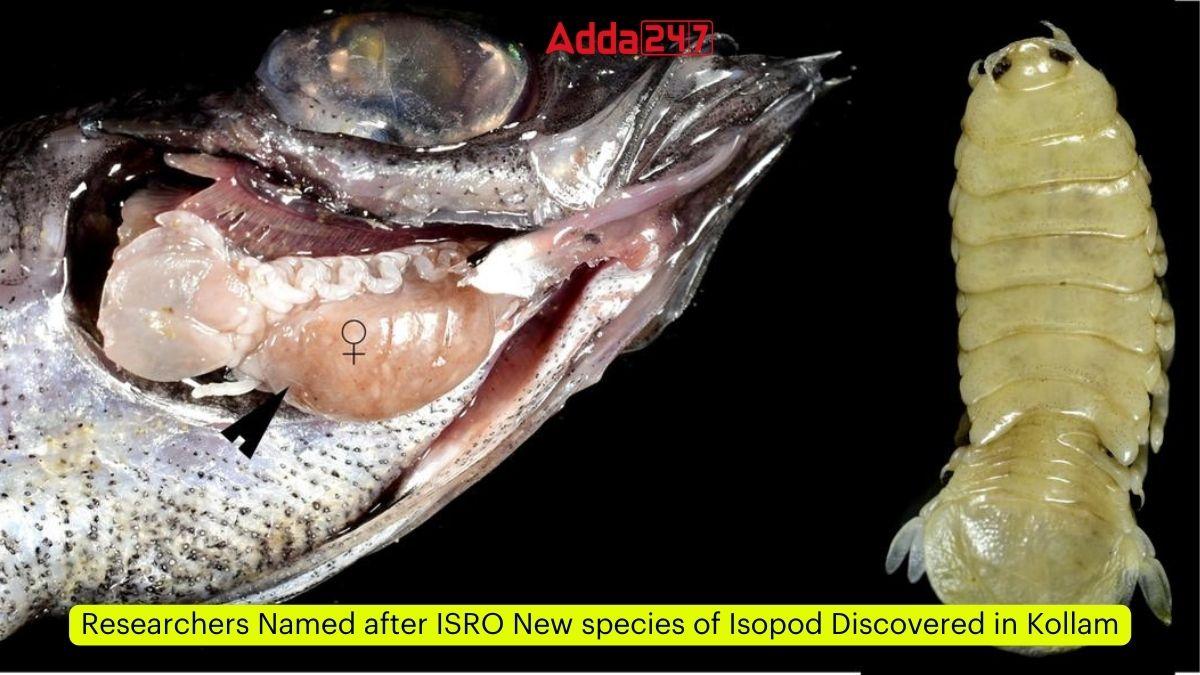 Researchers Named after ISRO New species of Isopod Discovered in Kollam