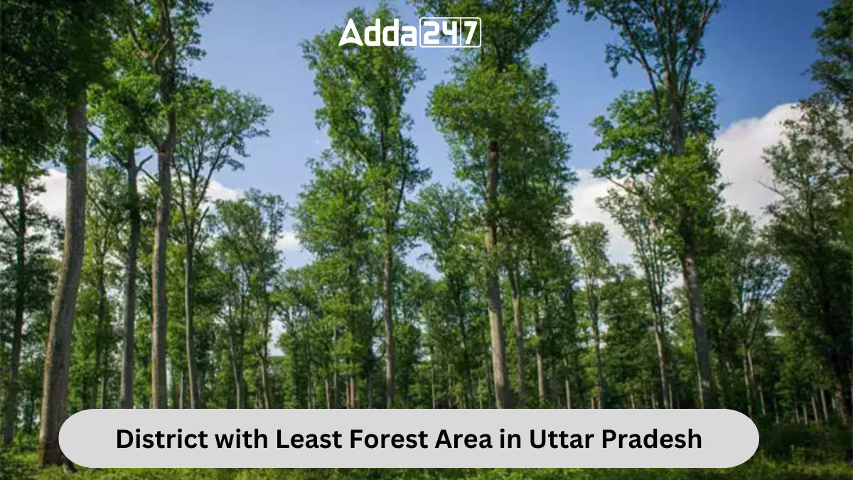 District with Least Forest Area in Uttar Pradesh