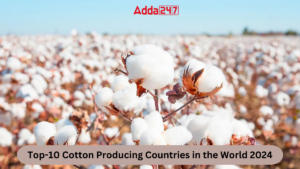 Top-10 Cotton Producing Countries in the World 2024