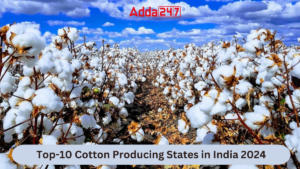 Top-10 Cotton Producing States in India 2024