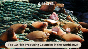 Top-10 Fish Producing Countries in the World 2024