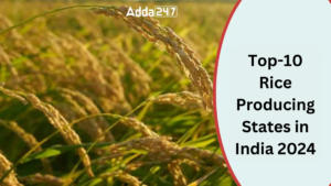Top-10 Rice Producing States in India 2024