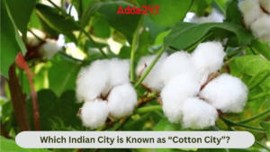 Which Indian City is Known as “Cotton City”