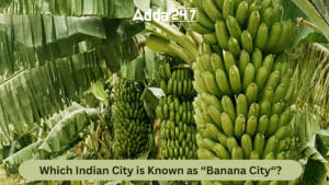 Which Indian City is Known as “Banana City“