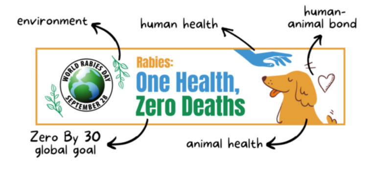 World Rabies Day 2022: जानें विश्व रेबीज दिवस का इतिहास और महत्व |_40.1