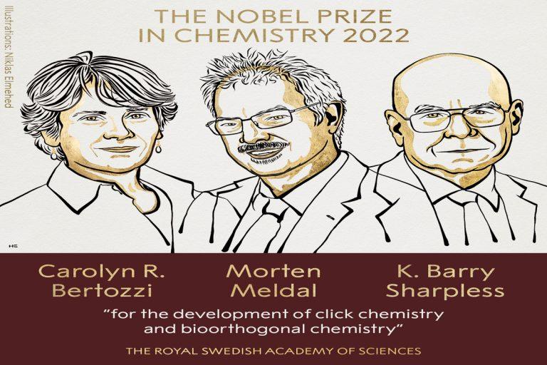 Nobel Prize 2022: रसायन के नोबेल पुरस्कार की घोषणा, 3 वैज्ञानिकों को मिला सम्‍मान |_40.1
