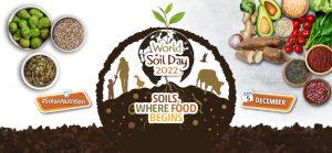 World Soil Day 2022: विश्व मृदा दिवस का इतिहास और महत्व |_3.1