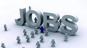 देश में बेरोजगारी दर दिसंबर में बढ़कर 8.3 प्रतिशत पर |_3.1