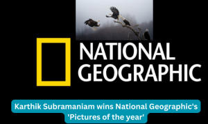 भारतीय मूल के इंजीनियर ने जीता नेशनल ज्योग्राफिक 'पिक्चर्स ऑफ द ईयर' अवॉर्ड |_30.1