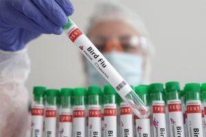 चीन में H3N8 बर्ड फ्लू से दुनिया की पहली मौत