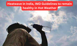 भारत में लू, गर्म मौसम में स्वस्थ रहने के लिए आईएमडी ने दिए दिशानिर्देश |_3.1