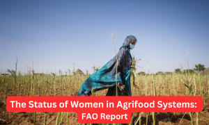 कृषि खाद्य प्रणालियों में महिलाओं की स्थिति : FAO रिपोर्ट
