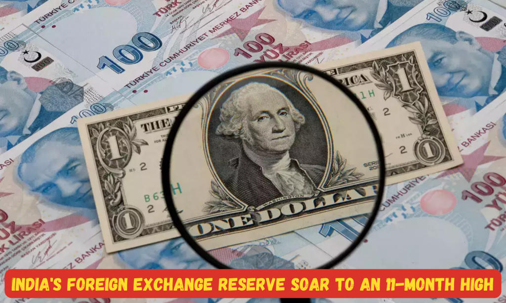 भारत का विदेशी मुद्रा भंडार 11 महीने के उच्च स्तर 595.9 डॉलर पर पहुंचा |_20.1