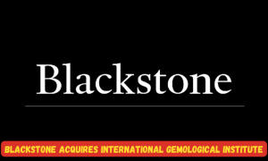 ब्लैकस्टोन ने 52.5 करोड़ डॉलर के उद्यम मूल्य पर आईजीआई का अधिग्रहण किया |_30.1