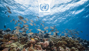 वैश्विक समझौते से समुद्री जीवन की सुरक्षा: संयुक्त राष्ट्र का ऐतिहासिक कदम