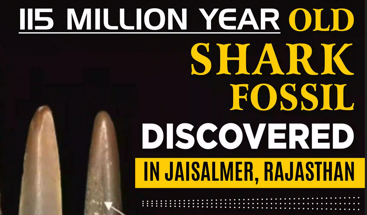 राजस्थान के जैसलमेर में 115 मिलियन वर्ष पुराने शार्क जीवाश्म की खोज |_20.1