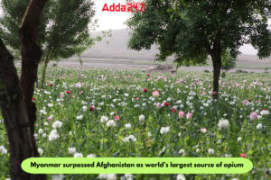 2023 में विश्व के अग्रणी अफीम स्रोत के रूप में म्यांमार, अफगानिस्तान से आगे: संयुक्त राष्ट्र रिपोर्ट |_3.1