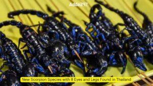 शोधकर्ताओं को थाईलैंड में मिला 8 आंखों वाला नई प्रजाति का बिच्छू |_3.1