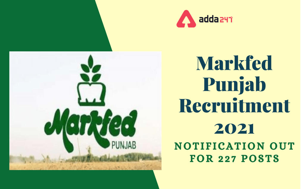 Markfed Punjab Recruitment 2021: Apply Online Extended For 227 Various Posts_30.1