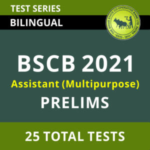 BSCB Assistant 2021