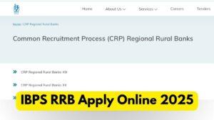 IBPS RRB Apply Online 2025