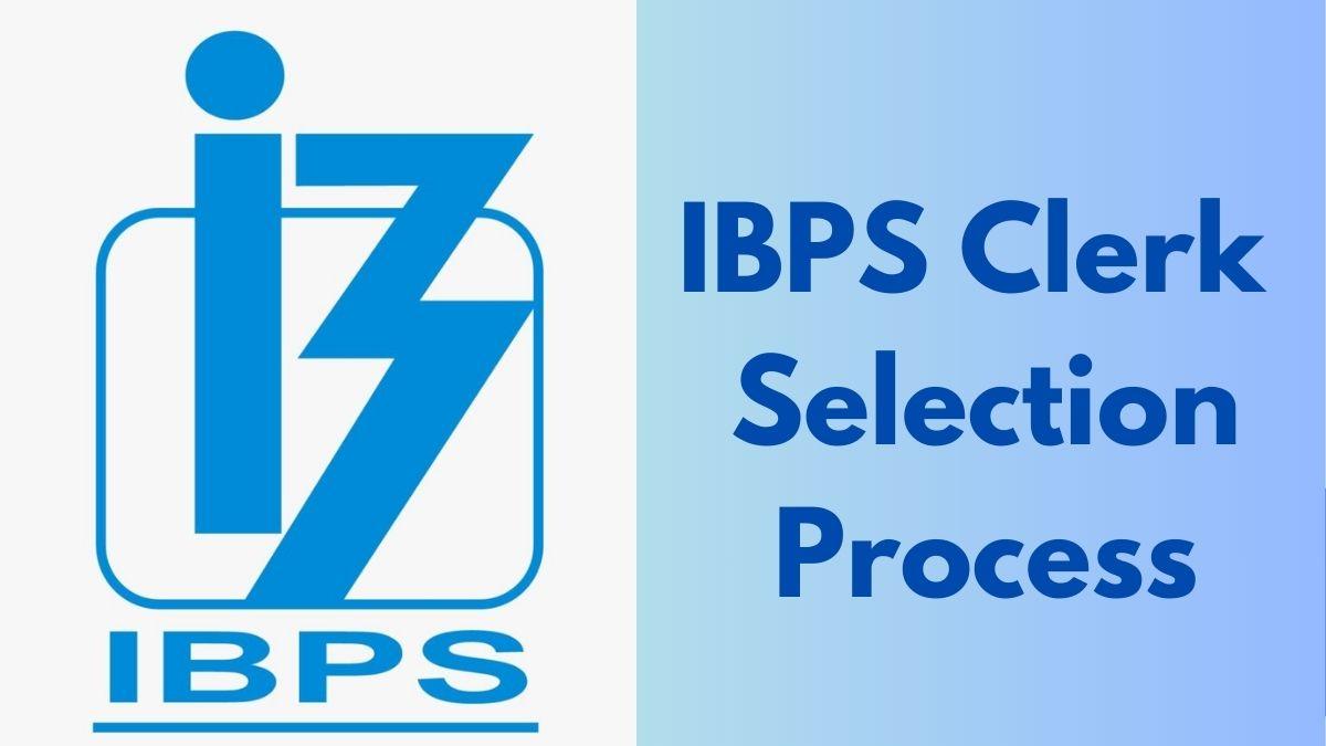 IBPS Clerk Selection Process