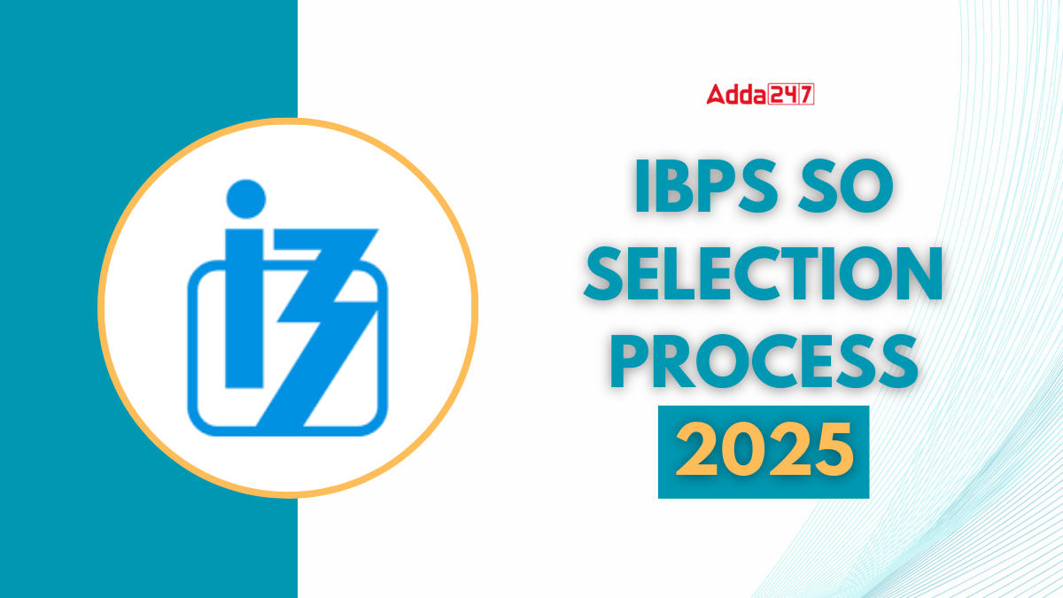 IBPS SO Selection Process 2025