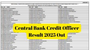 Central Bank Credit Officer Result 2025