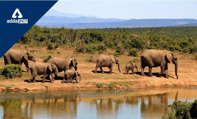5th elephant reserve in Agasthyamalai landscape announced by Tamil Nadu