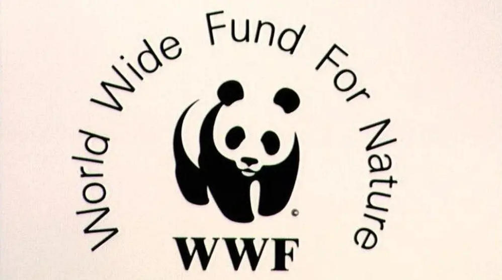 Living Planet Report 2022: Wildlife Populations decline by 69% in 50 years