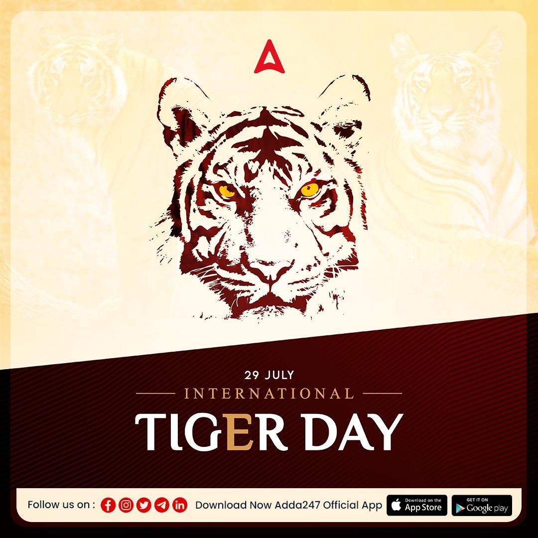 International Tiger Day