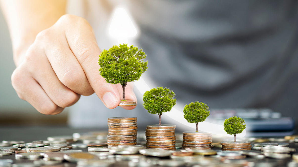 HDFC unveils ‘Green & Sustainable’ fixed deposit | एचडीएफसीने 'हरित आणि शाश्वत' मुदत ठेवीचे अनावरण केले