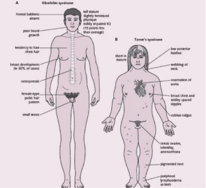 मानवी रोग: रोगांचे वर्गीकरण आणि रोगांचे कारणे | Classification of Diseases and Causes of Diseases_29.1