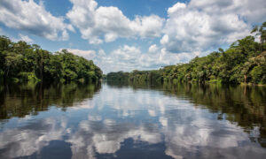 Longest River in the World, List of Top 10 Largest & Longest Rivers: Study Material for MHADA Exam