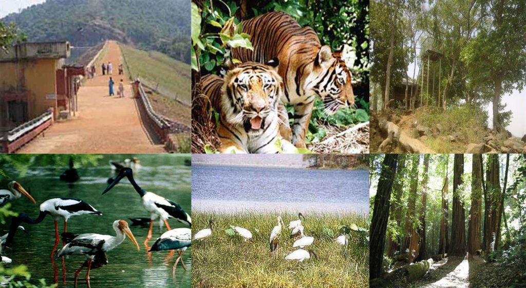 Nawegaon-National-Park