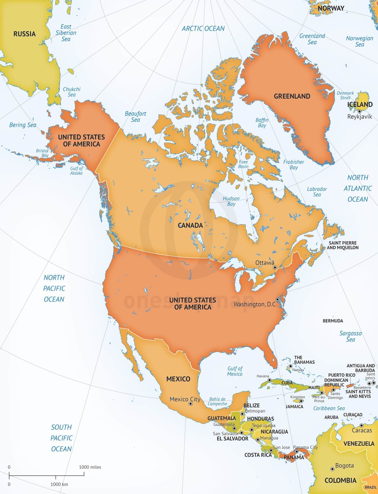 7 Continents of the World