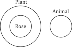 Reasoning Quiz For SSC MTS Exam: 24 February 2023_5.1