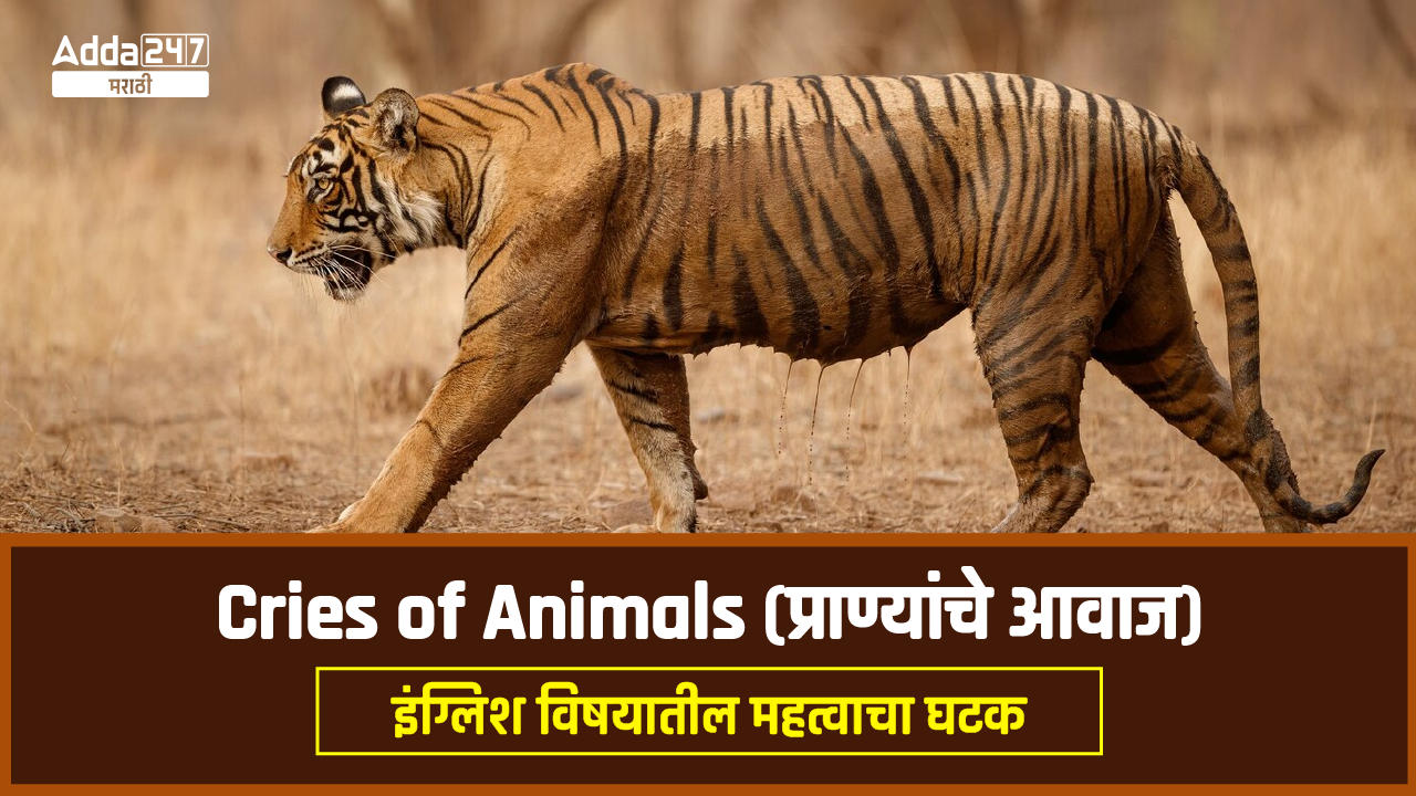 cries of animals (प्राण्यांचे आवाज)-01