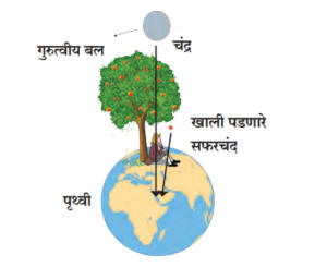 गुरुत्वाकर्षण (Gravitation): मुलभूत संज्ञा आणि सिद्धांत_3.1