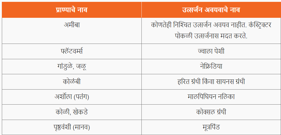 उत्सर्जन संस्था | Excreatory System : पोलीस भरती 2024 अभ्यास साहित्य_3.1