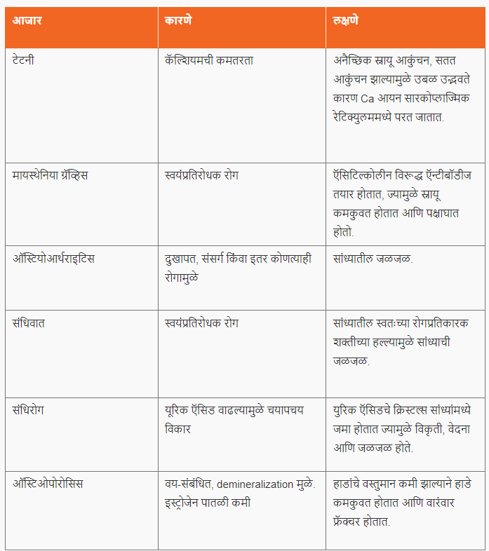 मानवी शरीर : अस्थिसंस्था | Human Body : Skeletal System : MPSC Gazetted Civil Services Exam 2024 अभ्यास साहित्य_4.1